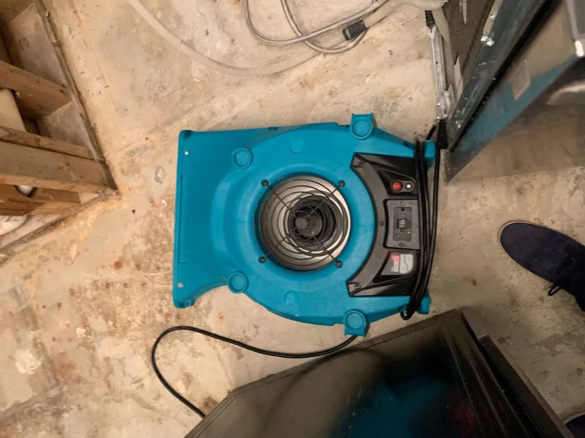 Air mover drying equipment for Mold Remediation & Removal in Woodlake
